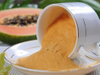 Papaya powder dryer