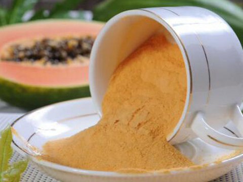 Papaya powder dryer