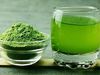 Barley green juice dryer