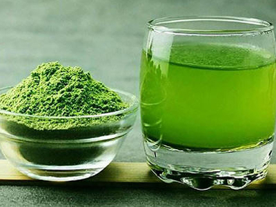 Barley green juice dryer