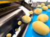 Potato Processing Waste Dryer