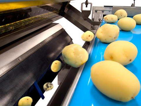Potato Processing Waste Dryer