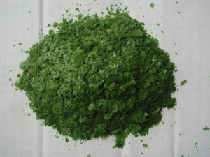 Spirulina dryer
