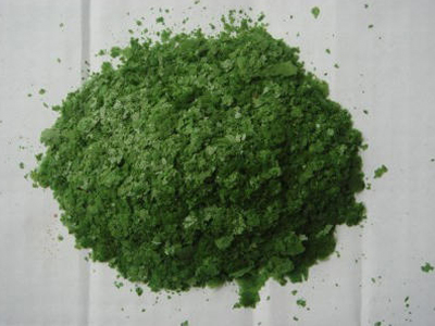 Spirulina dryer