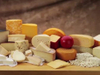 Cheese factory waste dryer