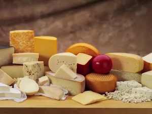 Cheese factory waste dryer