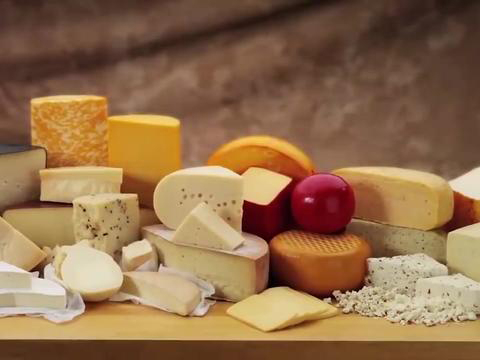 Cheese factory waste dryer