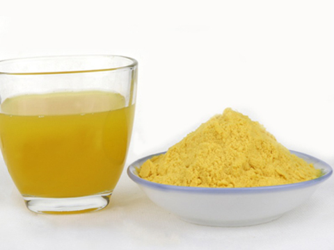Passion fruit powder dryer