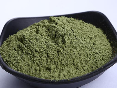 Coriander powder Refractive window dryer