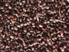 Distiller's grains dryer