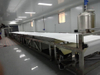 Lactic acid bacteria Refractive window dryer
