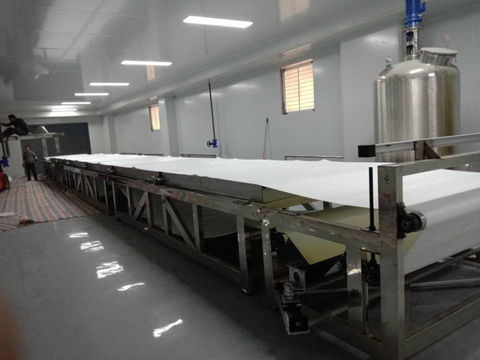 Lactic acid bacteria Refractive window dryer