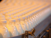 Milk processing waste dryer
