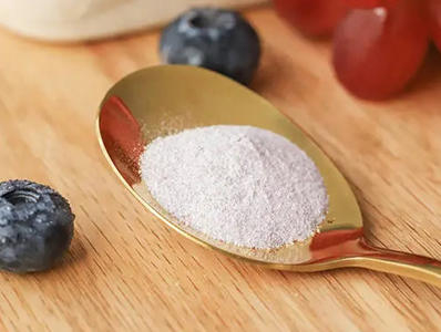 Probiotic powder dryer