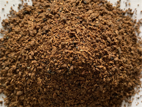 Pomace Dryer