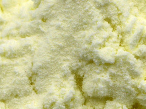 Cantaloupe Powder Dryer