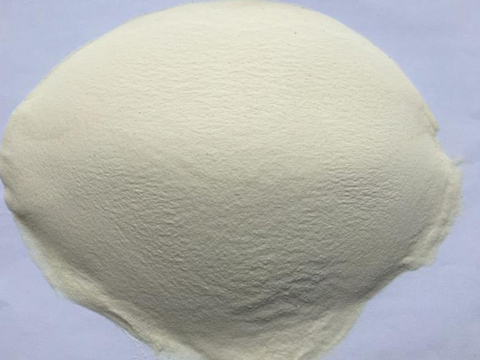 Potato Flour Dryer