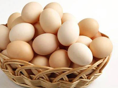 egg mixture dryer