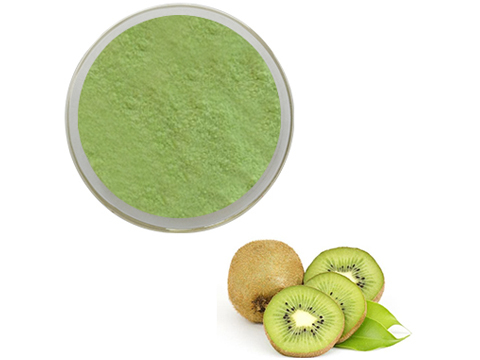 Kiwi Powder Dryer