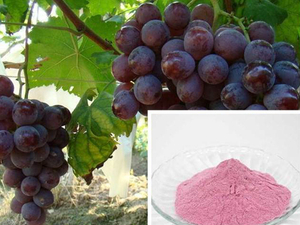 Grape Powder Dryer