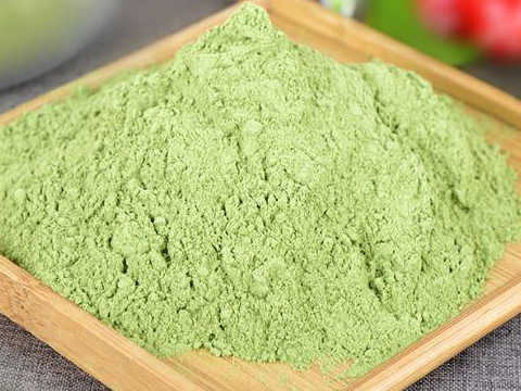 spinach powder dryer